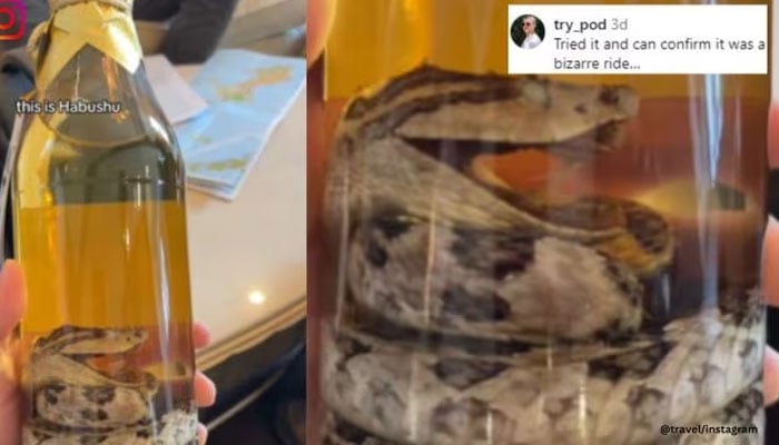 The drink is prepared by soaking fang-bearing pit viper found in Ryukyu Islands.—Instagram@Travel