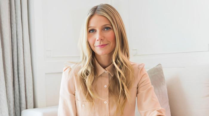 Gwyneth Paltrow spills secrets on Iron Man's early days - Vimarsana News