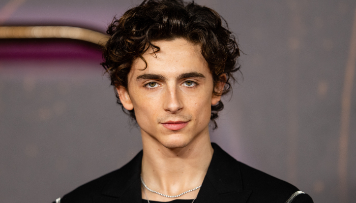 Timothee Chalamets three most favourite British dialects revealed