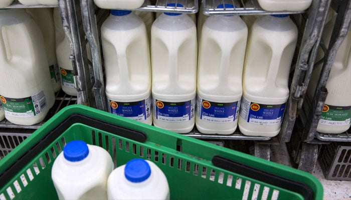 Full fat or low-fat dairy items: Experts weigh in on which one is healthier?—Reuters