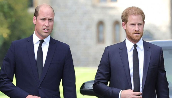 Goofball Prince Harry feels like overcast as The Crown focuses on William