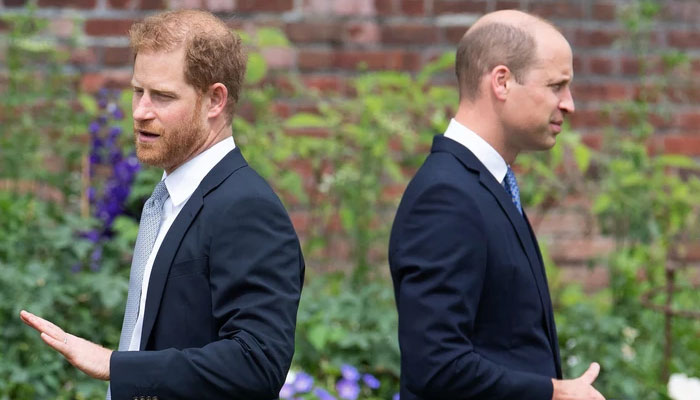 Prince William won’t let Charles readmit Harry in Royal fold: ‘He’s determined’