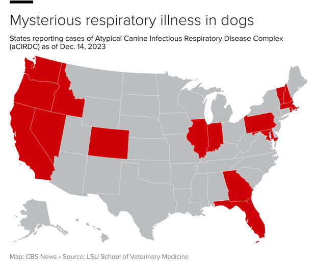 These 16 US states are most affected by mystery dog respiratory disease