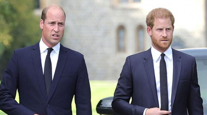'Goofball' Prince Harry feels like 'overcast' as 'The Crown' focuses on William - Vimarsana News