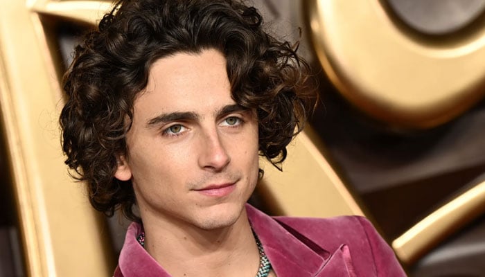 Timothée Chalamets unique talent revealed besides acting