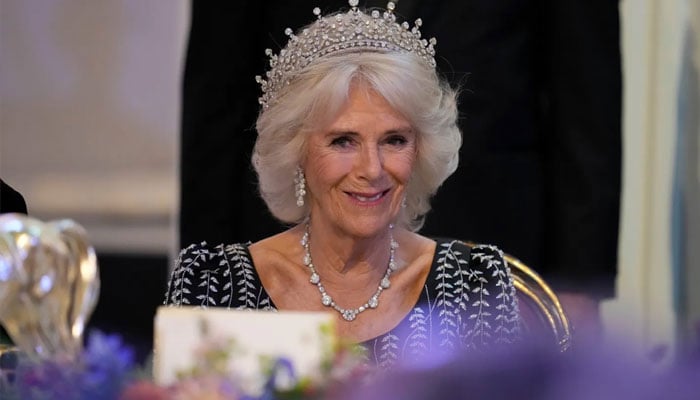 Queen Camilla physically not fit to carry out Royal duties?