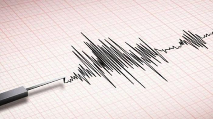 Earthquake claims eight lives in northwest China