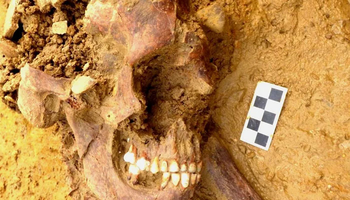 Analysis of his teeth showed that his diet had gradually changed since the age of five.—BBC News
