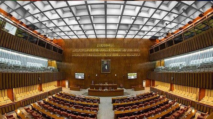 Delinquent banks fined trivial Rs90mn over Rs300bn 'money laundering', Senate body told - Vimarsana News