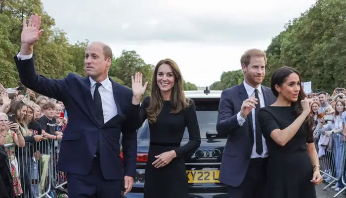 Prince Harry, Meghan Markle losing their power to William and Kate