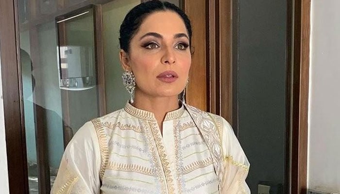 Pakistani film actor Meera. — Instagram/File
