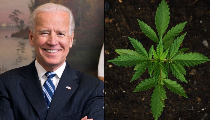Biden commutes sentences of 11 convicted of Marijuana-related offences.—marijuanamoment