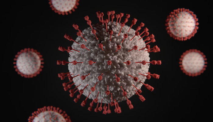 A grey and red spiky fuzzball representing the COVID-19 virus. — Unsplash