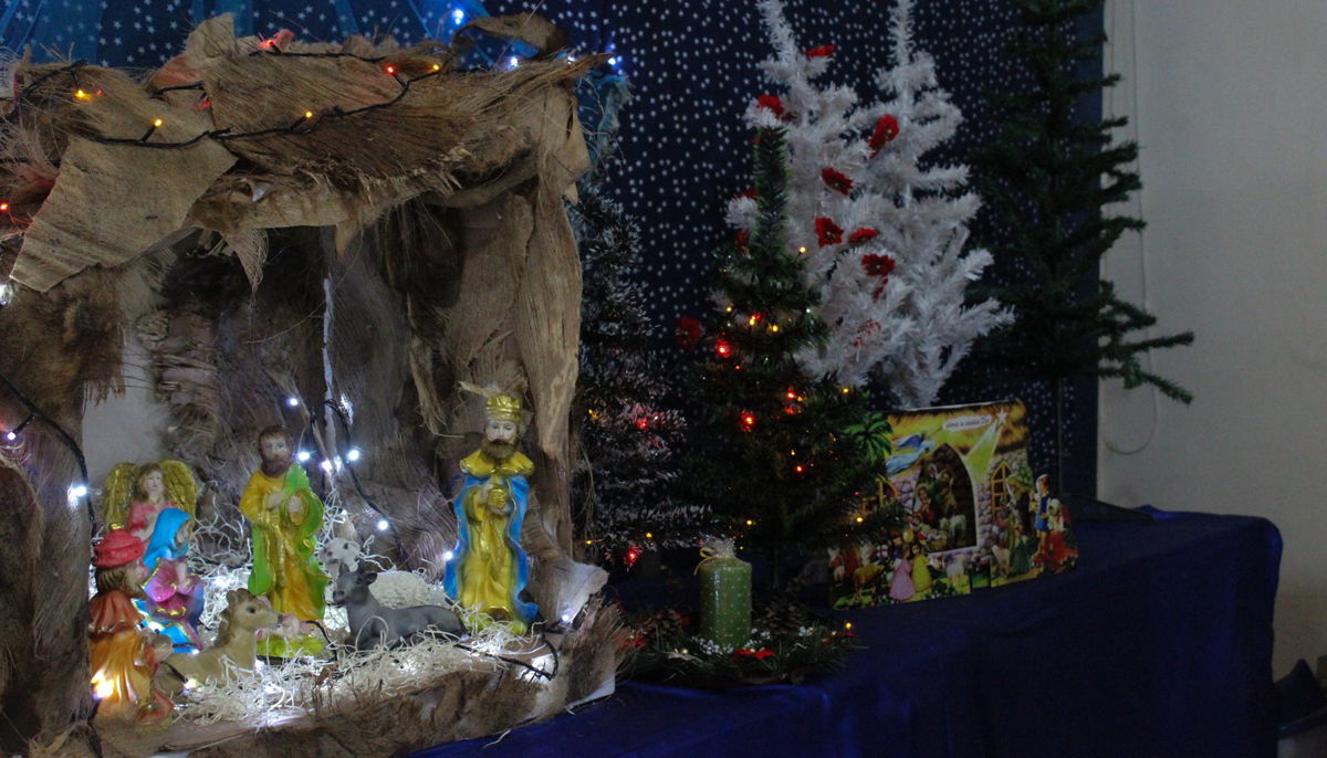 A photograph of a Christmas crib and Christmas trees available for sale at the store. — Photo by author