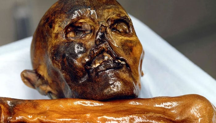 A close-up of the head of the 5,300-year-old frozen corpse of Ötzi in the Archaeological Museum in Bolzano.—Südtiroler Museum