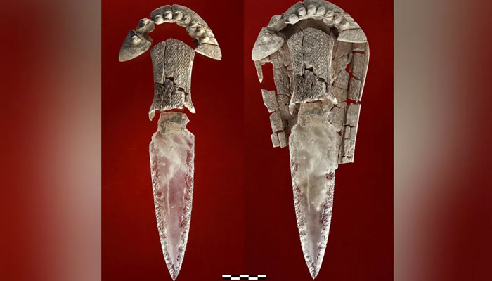 The crystal dagger was found was buried with the body of a 5,000-year-old female prehistoric leader.—Research Group ATLAS from University of Sevilla
