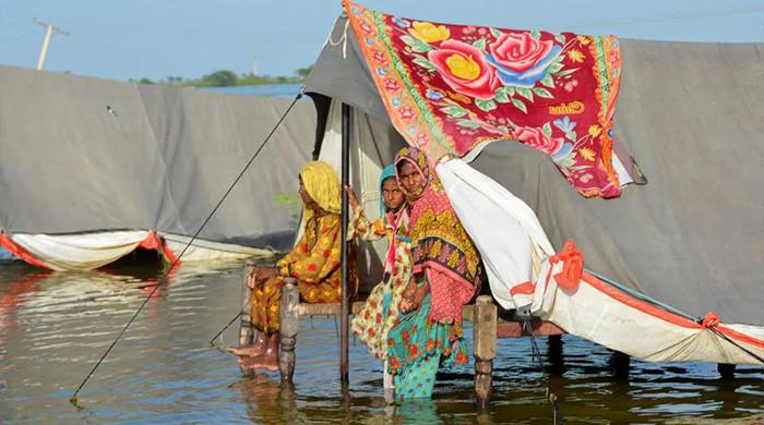 Who is responsible for climate refugees? Part – II