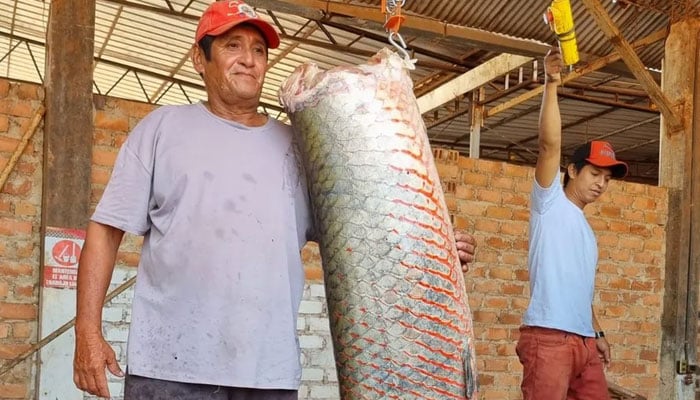 Guillermo Otta Parum has been a fisherman for 50 years.—BBC