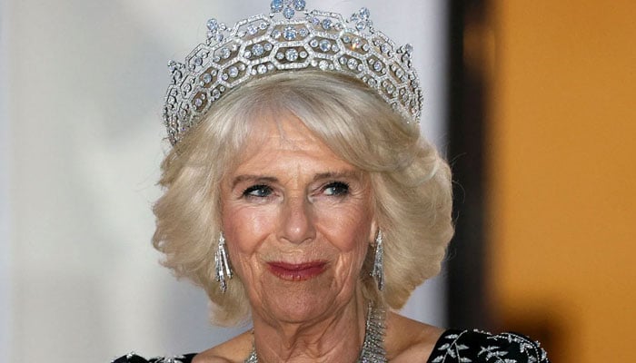 Queen Camilla is result of PR miracles, cannot win respect of public
