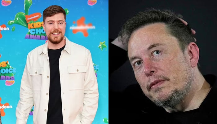 YouTuber BrBeast (L) and Elon Musk (R).- Daily Mail