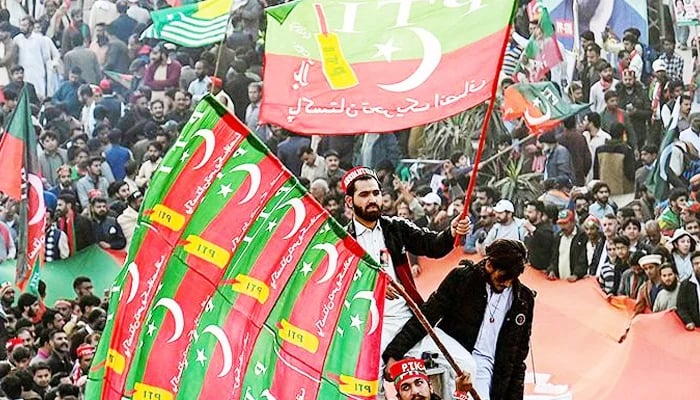 A PTI supporter holds the partys flags in this AFP file image.