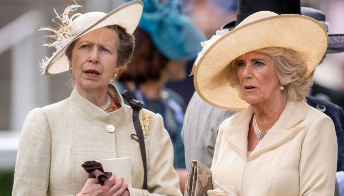 Queen Camilla not a ‘natural royal’ but performs her role ‘well’