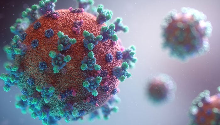 A representational image of the COVID-19 virus. — Unsplash/File