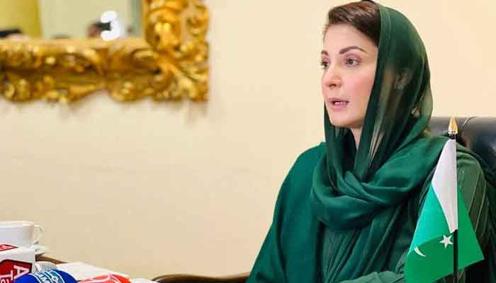 Pakistan Muslim League-Nawaz (PML-N) Senior Vice President and chief organiser Maryam Nawaz speaks to the media on November 1, 2022. — Twitter