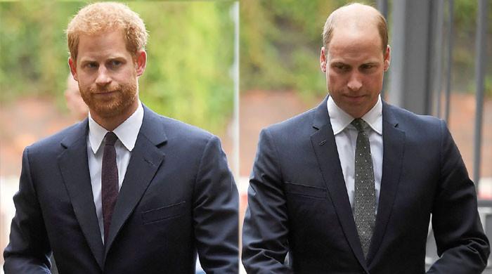 Prince Harry sees Prince William are the ‘villain’ of his story