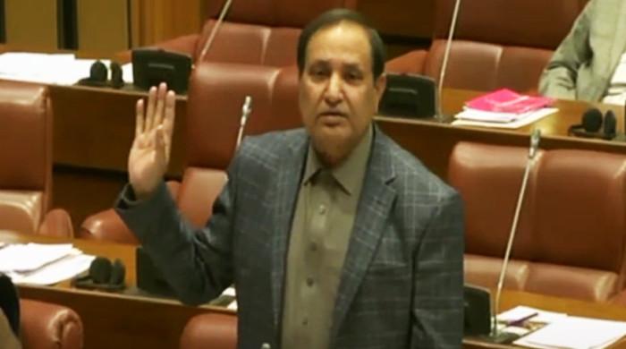 Senate passes resolution seeking delay in Feb 8 elections