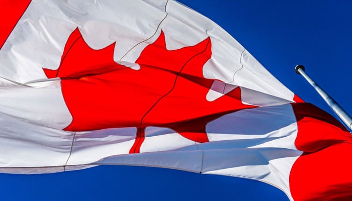 A picture of the Canadian flag. — Unsplash