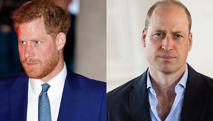 Expert believes Prince Harrys public image will improve if he brings about a shift n his approach to Prince William