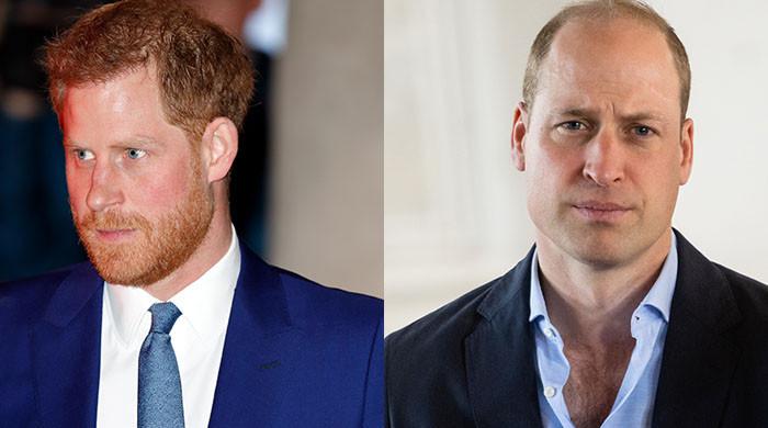 Prince Harry can ‘thrive’ in 2024 with shift in Prince William relationship