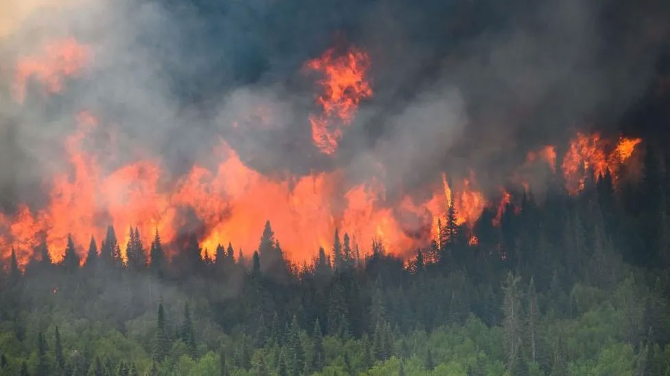 Canadas wildfire season was by far its worst on record..—Reuters