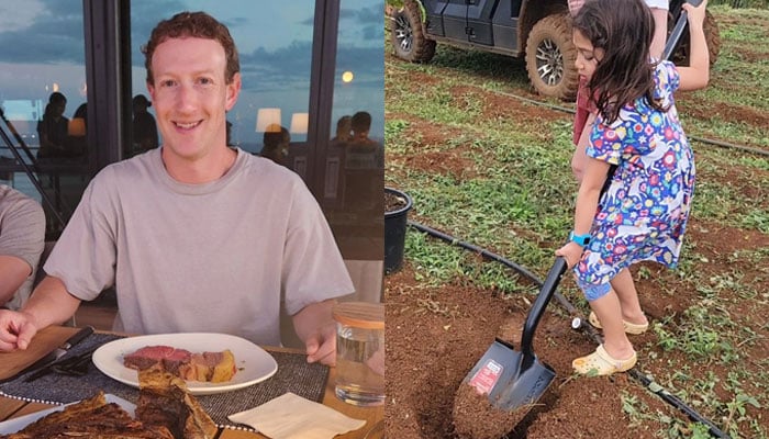 Mark Zuckerberg dotes over daughter for making Hawaii bunker project so much fun