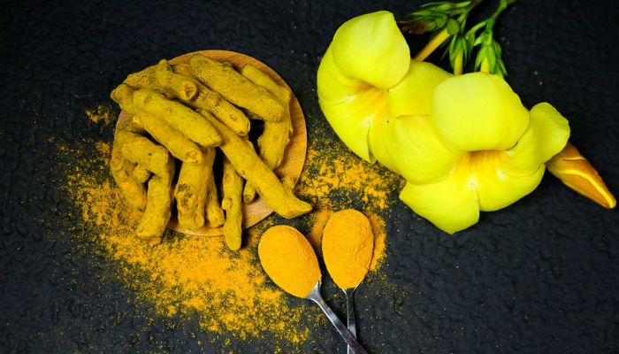 The Power of Home Remedies Unearted: Top 4 Ultimate Potent Healing Solutions