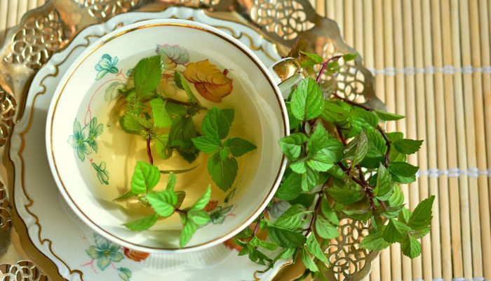 The Power of Home Remedies Unearted: Top 4 Ultimate Potent Healing Solutions