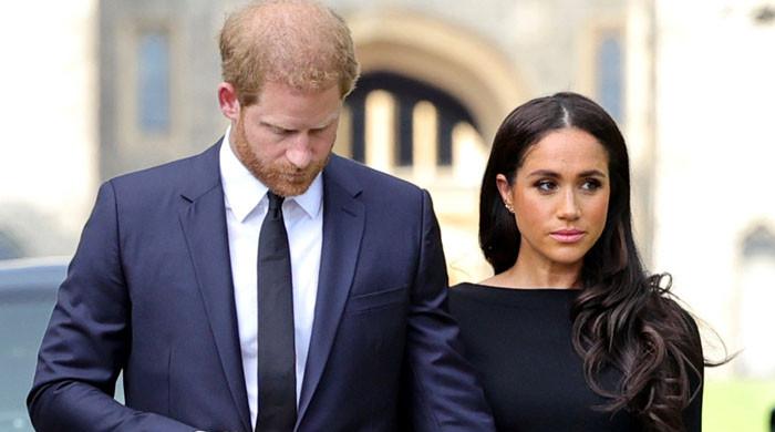Prince Harry, Meghan Markle need 'new act' to avoid financial collapse - Vimarsana News