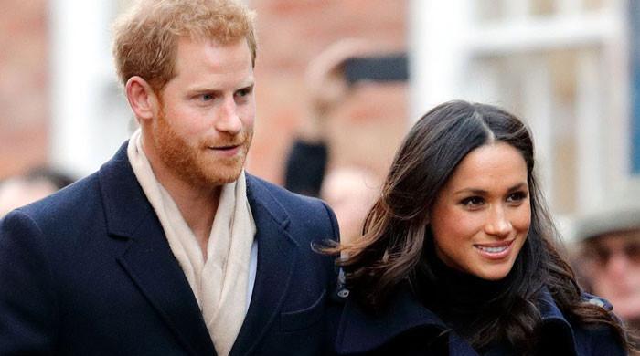 Expert reveals what 2024 has in store for Prince Harry, Meghan Markle
