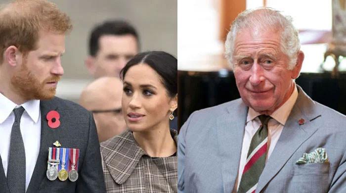 King Charles receives praises for handling Meghan, Harry ‘attacks' with ‘great skill'