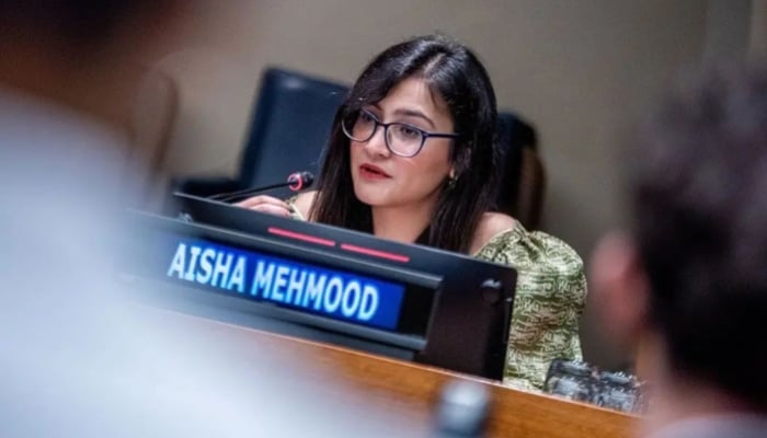 Ayesha Amin is addressing at a United Nations platform in this undated picture she uploaded on her Instagram account. —Instagram/ ayeshard19/ File