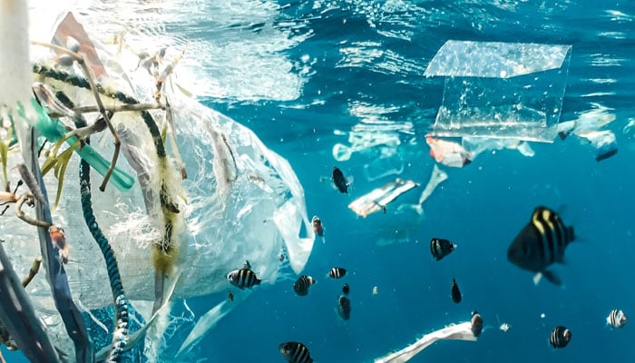 Microplastics in humans: Dangers, consequences & side effects