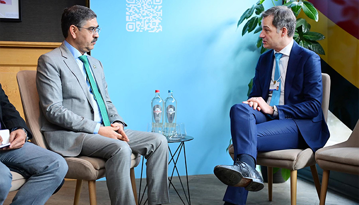 Caretaker PM Anwaar-ul-Haq Kakar (left) meets Belgium counterpart Alexander De Croo on WEF sidelines in Davos on January 17, 2024. — PID