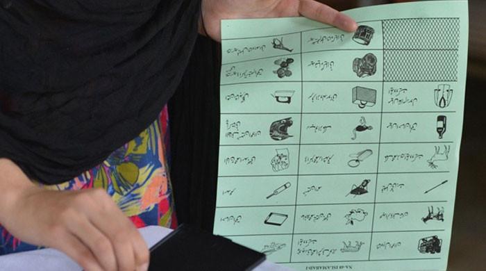 Video explainer: Here's how ECP allots electoral symbols and why are they important 