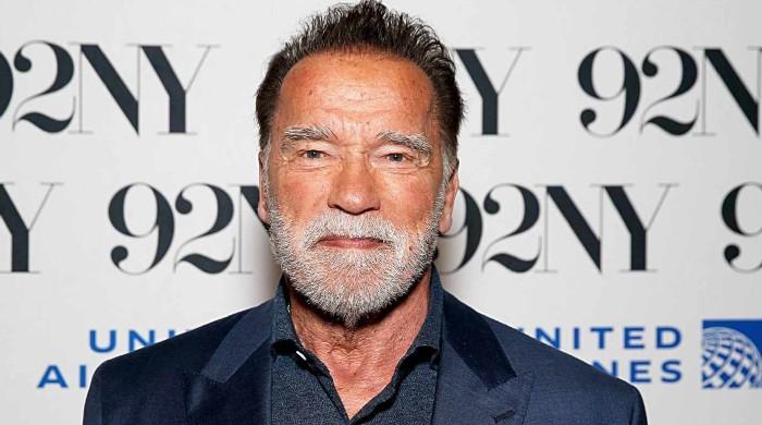 Arnold Schwarzenegger struck with shocking 'criminal' allegations