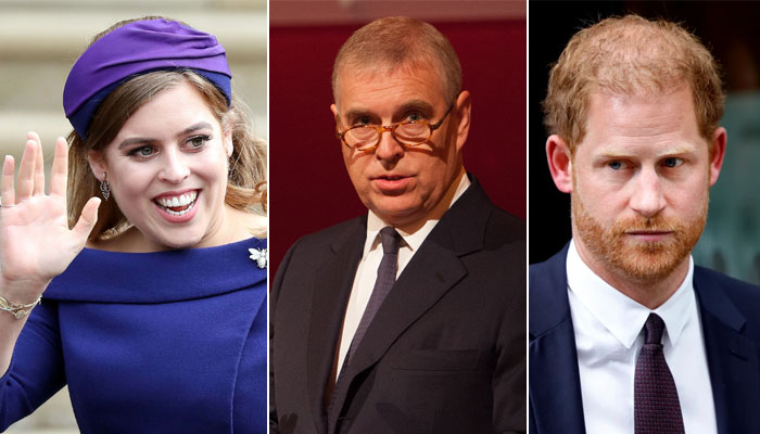 Who will rule England if King Charles is in the hospital?