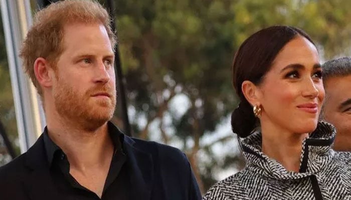 Meghan Markle, Prince Harry branded beneficiaries of chaos