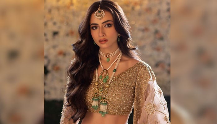 who-is-sana-javed-star-cricketer-shoaib-malik-s-new-bride