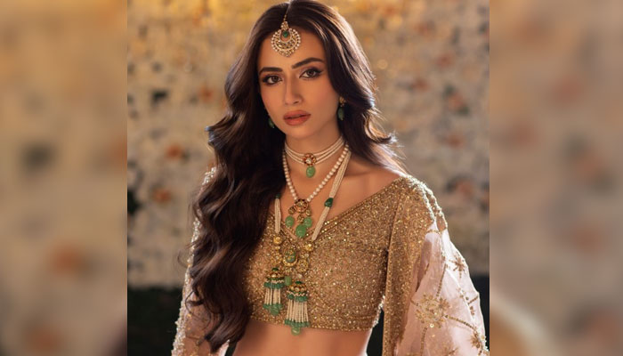 Actress Sana Javed. — Instagram/sanajaved.official/File