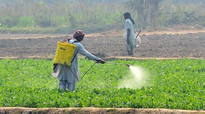 Sindh govt signs deal to launch corporate farming - Vimarsana News